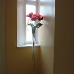 Appartement Nuske *