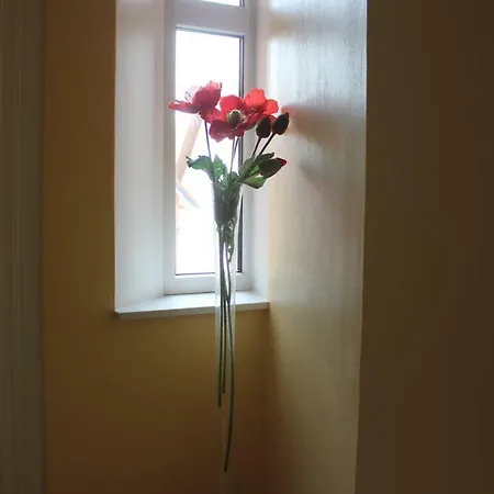 Διαμέρισμα Nuske *